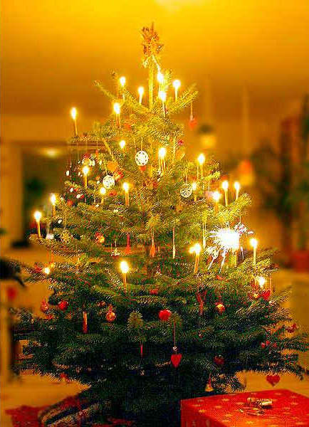 L'albero di Natale - l'ingrediente più importante del Natale in Germania