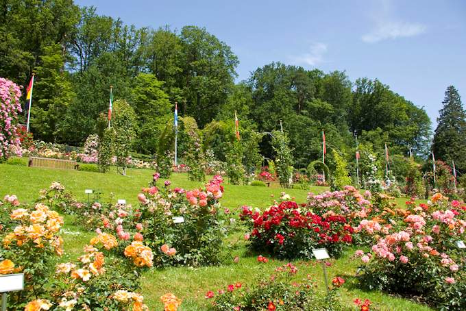 Il parco Rosengarten (giardino delle rose) a Baden-Baden