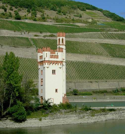 La Museturm (Torre dei topi)