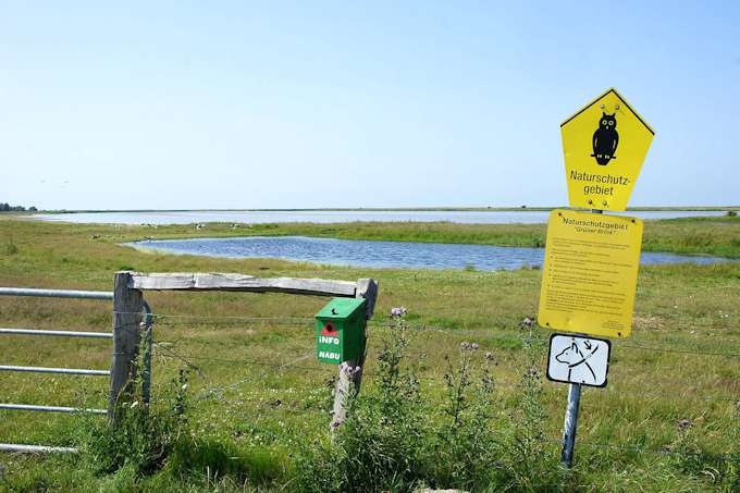 Fehmarn - il parco 'Grüner Brink' nel nord dell'isola