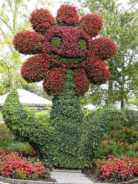 Mainau - composizioni floreali