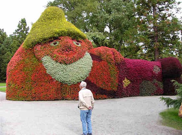 Composizioni floreali a Mainau