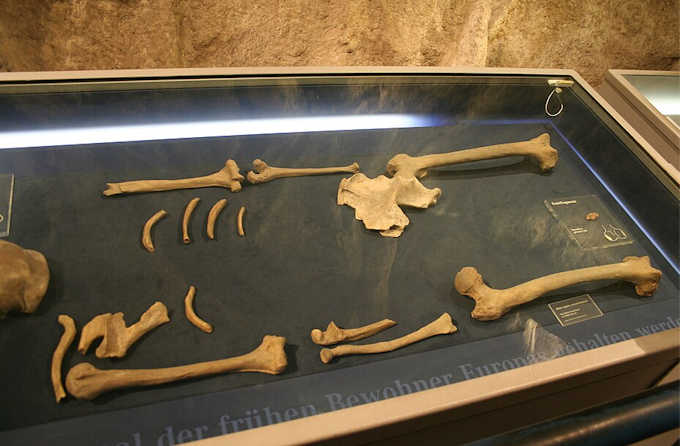 Nel museo dell'uomo di Neanderthal