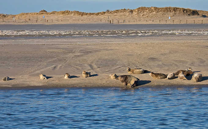 Norderney