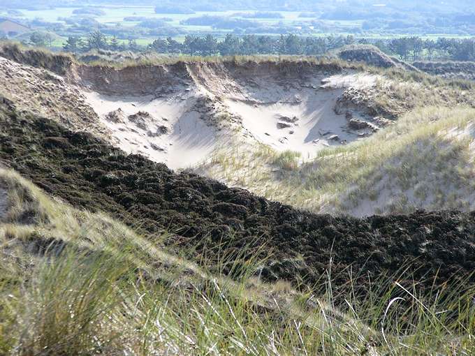 I paesaggi e le dune di Sylt