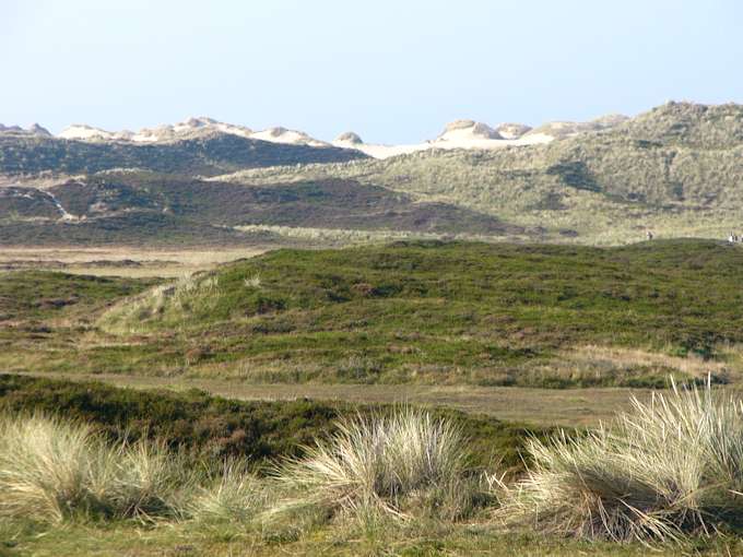 I paesaggi e le dune di Sylt