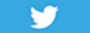 Condividere su Twitter