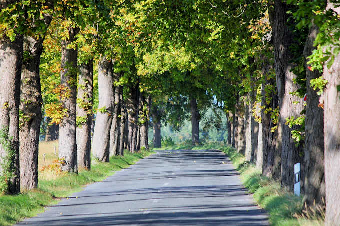 Una strada tra Rankwitz e Liepe