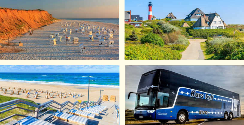 Tour panoramico dell'isola in autobus