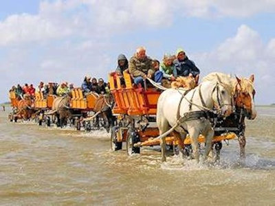 Il Wattenmeer
