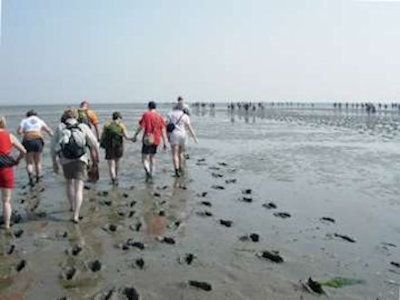 Il Wattenmeer